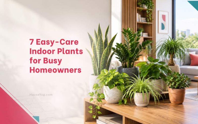 7 Easy-Care Indoor Plants for Busy Homeowners