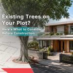 Existing Trees on Your Plot? Here's What to Consider Before Construction Existing Trees on Your Plot? Here’s What to Consider Before Construction