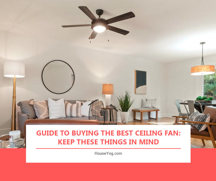 Guide To Buying The Best Ceiling Fan: Keep These Things in Mind