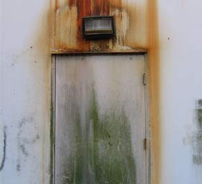 Ways to identify mould problems in the house