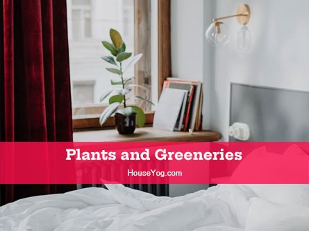 Plants and greeneries