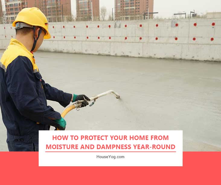How to Protect Your Home from Moisture and Dampness Year-Round