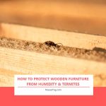 How to Protect Wooden Furniture from Humidity & Termites