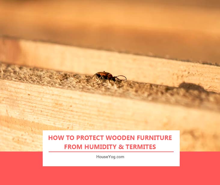How to Protect Wooden Furniture from Humidity & Termites